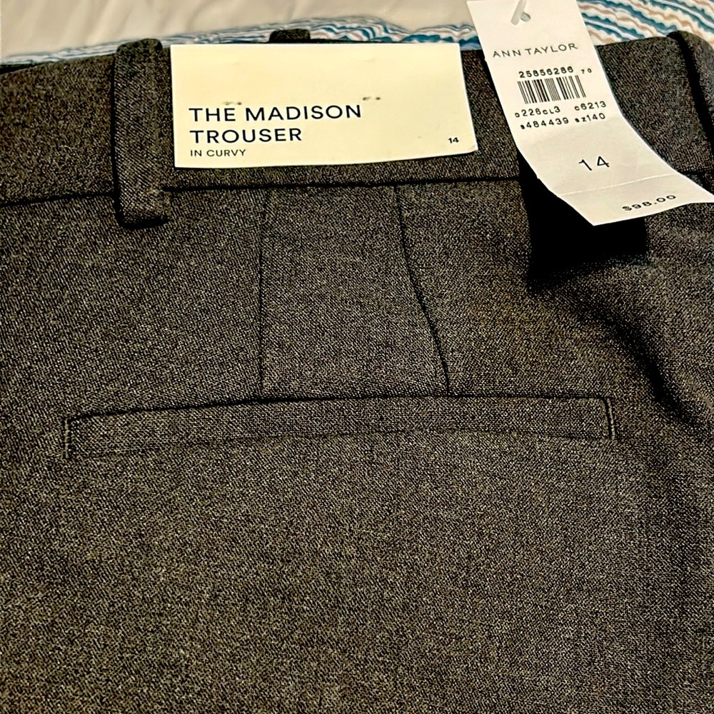 Brand new Ann Taylor the Madison Trouser in curvy